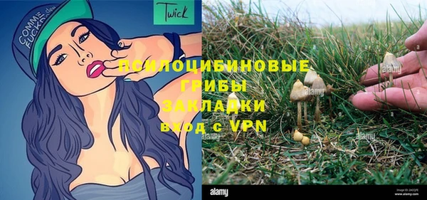 бошки Бронницы
