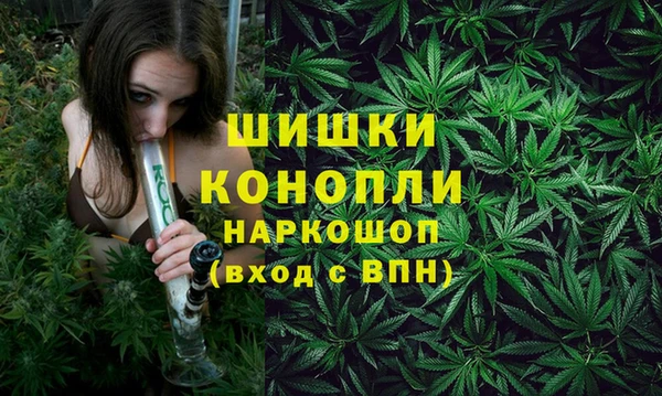хмурый Бородино