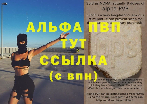 хмурый Бородино
