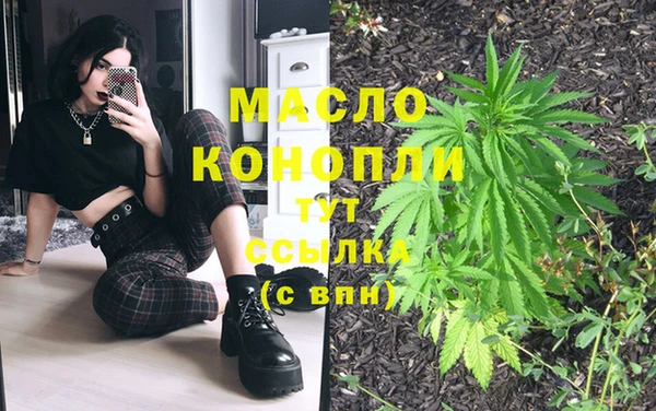 бошки Бронницы