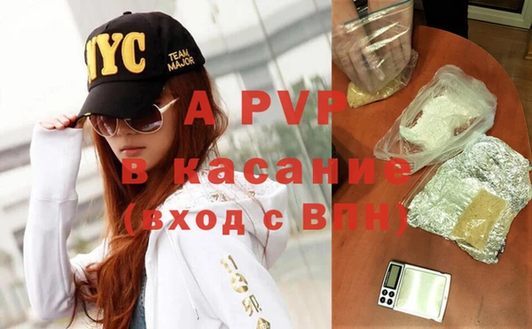 эйфоретик Богданович