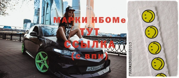 бошки Бронницы