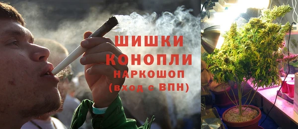 бошки Бронницы