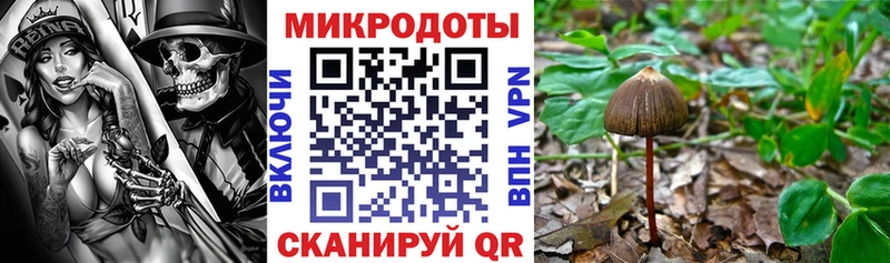 Псилоцибиновые грибы мухоморы Самара